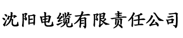 色柚电缆厂logo